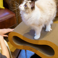 Midi - Black / Silver