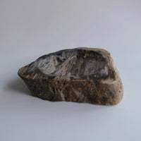珪化木 Accessory Tray #229 / OAK Petrified Wood