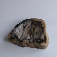 珪化木 Accessory Tray #229 / OAK Petrified Wood