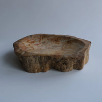 珪化木 Accessory Tray #239 / OAK Petrified Wood