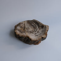 珪化木 Accessory Tray #223 / OAK Petrified Wood