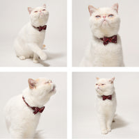 ÉCLAT BOW |Bordeaux Elegance