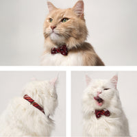 ÉCLAT BOW |Bordeaux Elegance