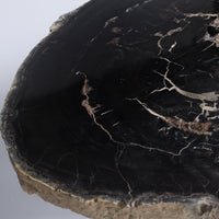 珪化木 Round Table #008 / OAK Petrified Wood