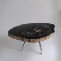 珪化木 Round Table #008 / OAK Petrified Wood