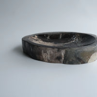 珪化木 Accessory Tray #027 / OAK Petrified Wood