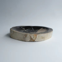 珪化木 Accessory Tray #027 / OAK Petrified Wood