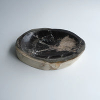 珪化木 Accessory Tray #027 / OAK Petrified Wood