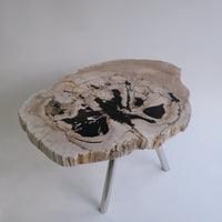 珪化木 Round Table #010 / OAK Petrified Wood