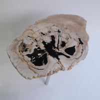 珪化木 Round Table #010 / OAK Petrified Wood