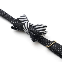 ÉCLAT BOW | Monotone Symphony