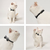 ÉCLAT BOW | Monotone Symphony