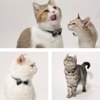 ÉCLAT BOW | Monotone Symphony