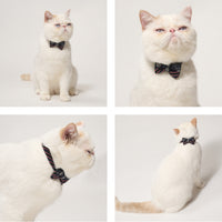 ÉCLAT BOW | Navy Glow