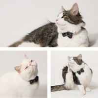 ÉCLAT BOW | Navy Glow