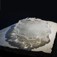 GLACIER TRAY