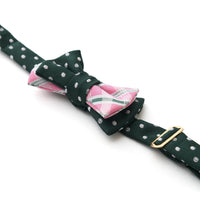 ÉCLAT BOW |Smile Harmony