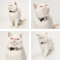 ÉCLAT BOW |Smile Harmony