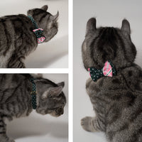 ÉCLAT BOW |Smile Harmony