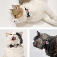 ÉCLAT BOW |Smile Harmony