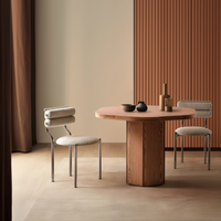 LAPAN CHAIR STAINLESS