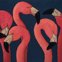 FIVE FLAMINGOS