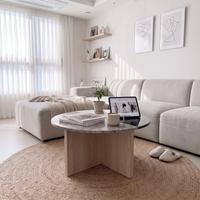 Marble coffee table