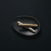 Abalone shell black incense set