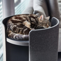 Torre Cat Scratch Tower