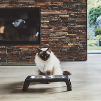 Desco Cat Feeder