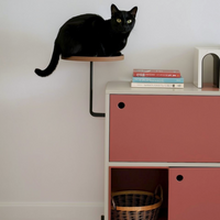 SLEEP CAT SIDEBOARD