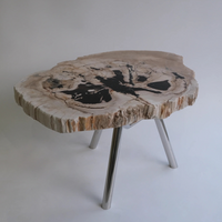 珪化木 Round Table #010 / OAK Petrified Wood