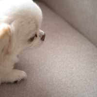 Grazia Pet Sofa