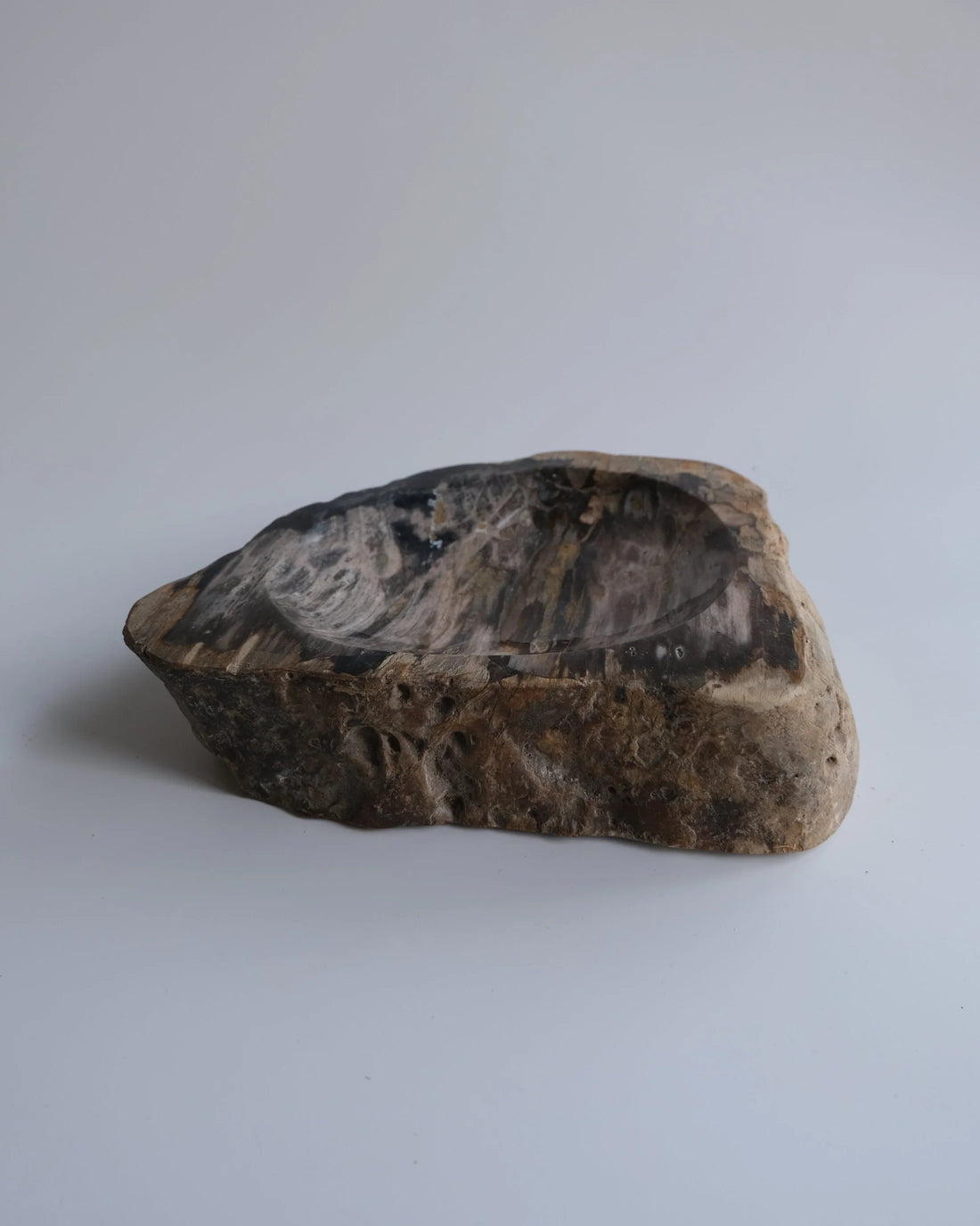 珪化木 Accessory Tray #229 / OAK Petrified Wood