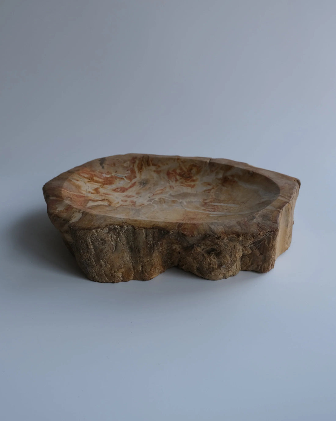 珪化木 Accessory Tray #239 / OAK Petrified Wood