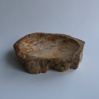 珪化木 Accessory Tray #239 / OAK Petrified Wood