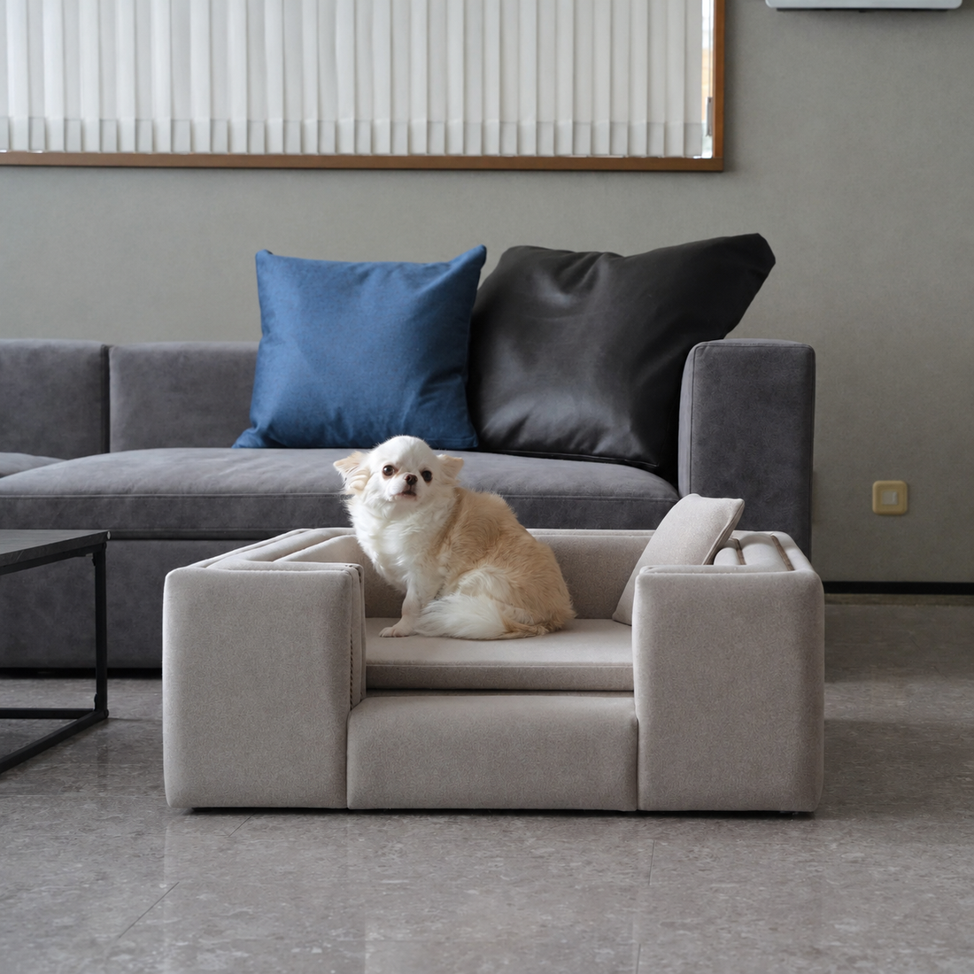 Grazia Pet Sofa