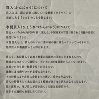 Ljus 氷裂貫入-M E17：柳本美帆