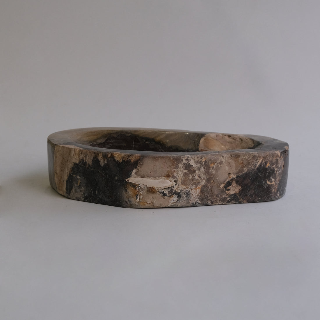 珪化木 Accessory Tray #049 / OAK Petrified Wood