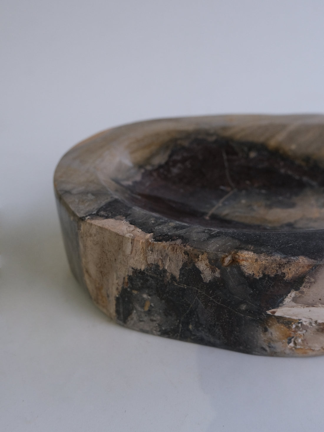 珪化木 Accessory Tray #049 / OAK Petrified Wood