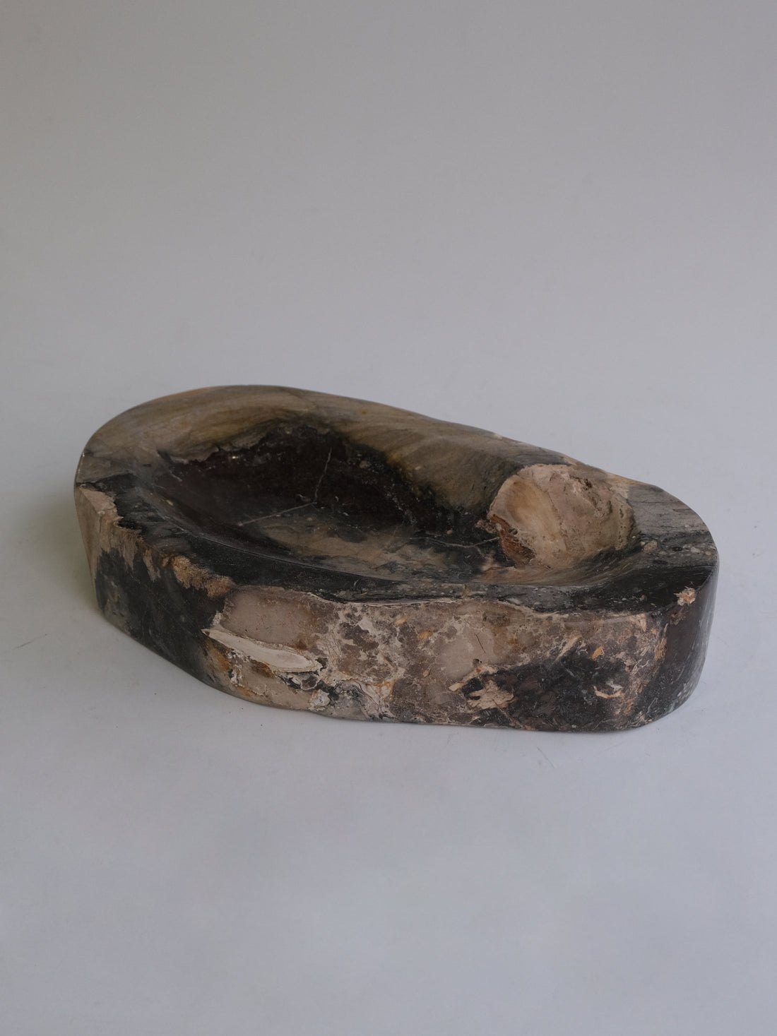 珪化木 Accessory Tray #049 / OAK Petrified Wood