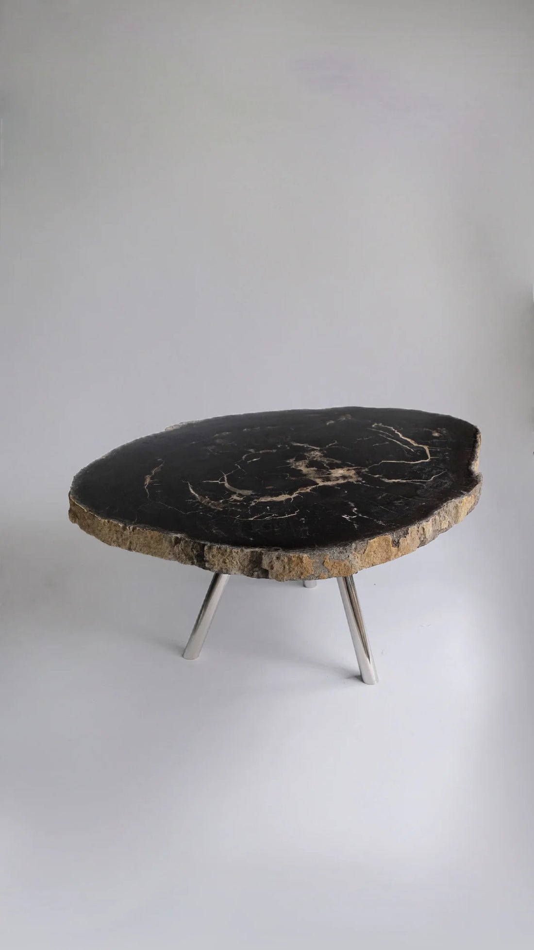 珪化木 Round Table #008 / OAK Petrified Wood