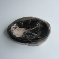 珪化木 Accessory Tray #027 / OAK Petrified Wood