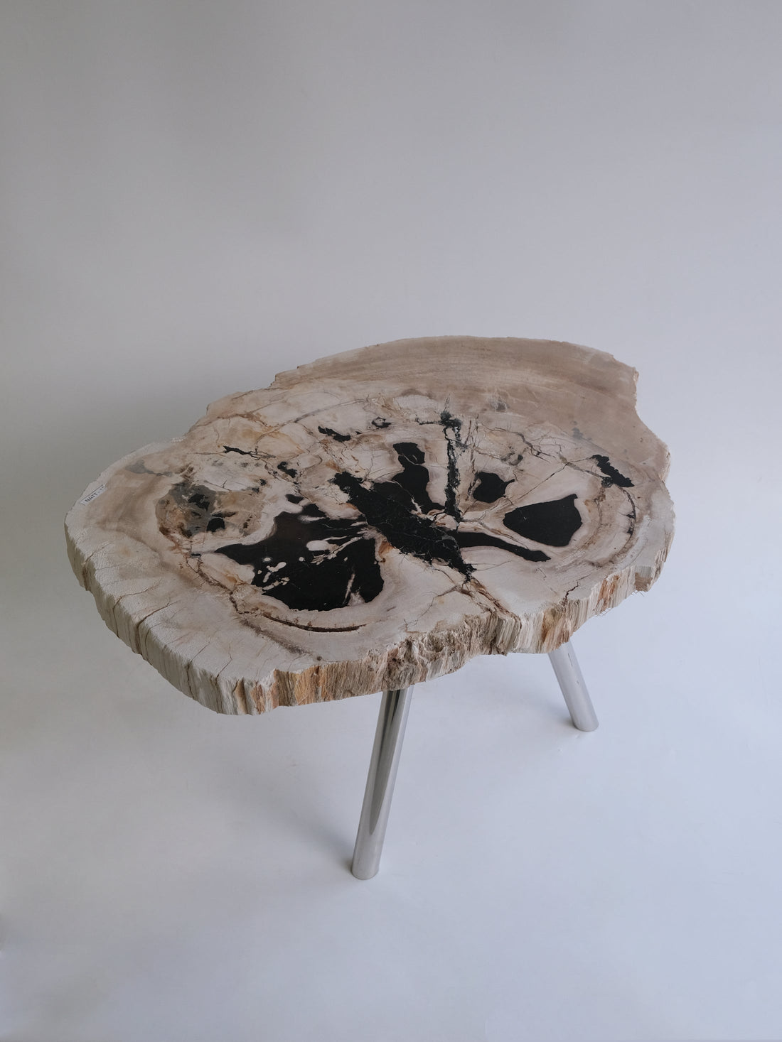 珪化木 Round Table #010 / OAK Petrified Wood