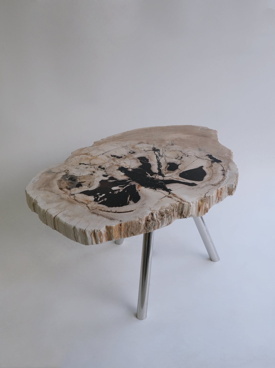 珪化木 Round Table #010 / OAK Petrified Wood