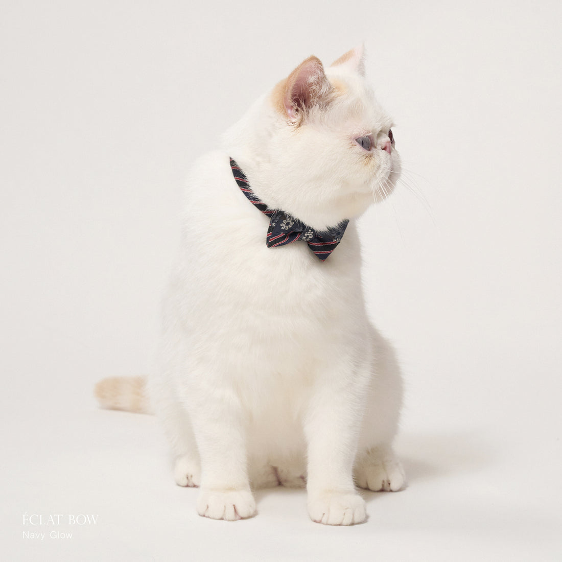 ÉCLAT BOW ｜ Navy Glow