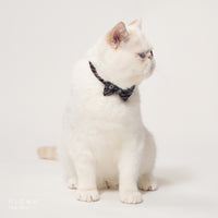 ÉCLAT BOW ｜ Navy Glow