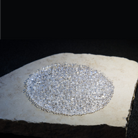 SHOAL TRAY