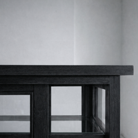 OBSIDIAN GLASS CABINET