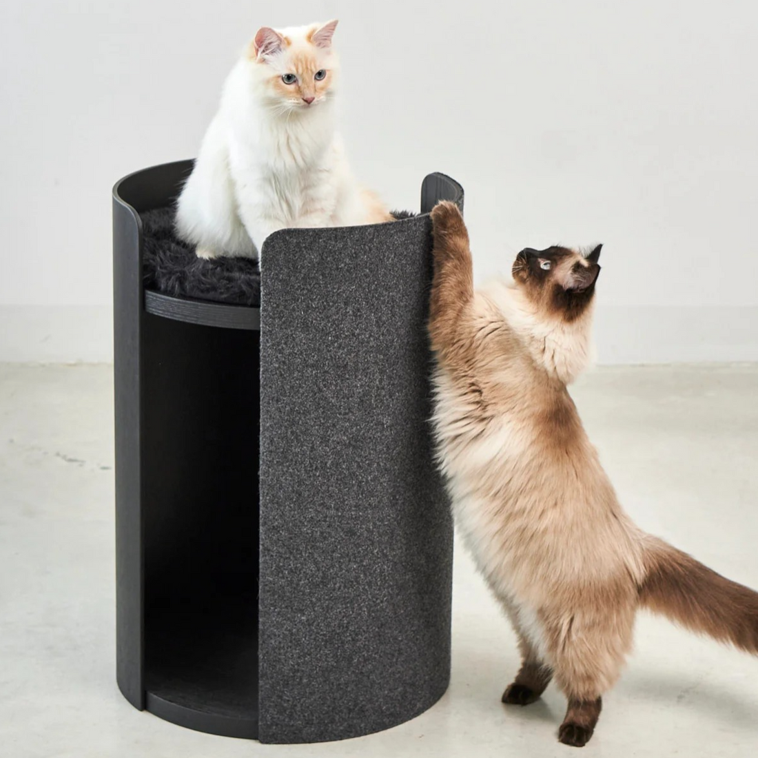 Torre Cat Scratch Tower